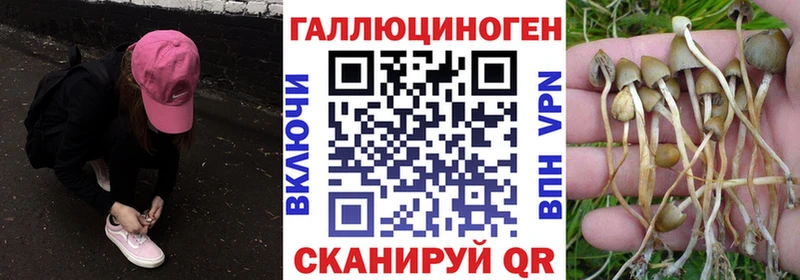 Псилоцибиновые грибы Psilocybe  Купить  Ишим 